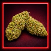 Шишки марихуаны Critical Kush (ТГК 25%) в Москве